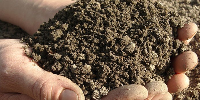 builders guide to soil type